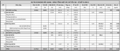 Bảng thống kê chi tiết Ecohome Bắc Giang