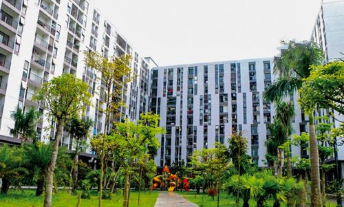 Nhà ở xã hội 379 Bắc Giang